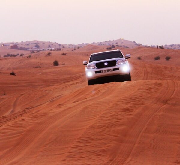 adventure sand safaris desert car 3150505